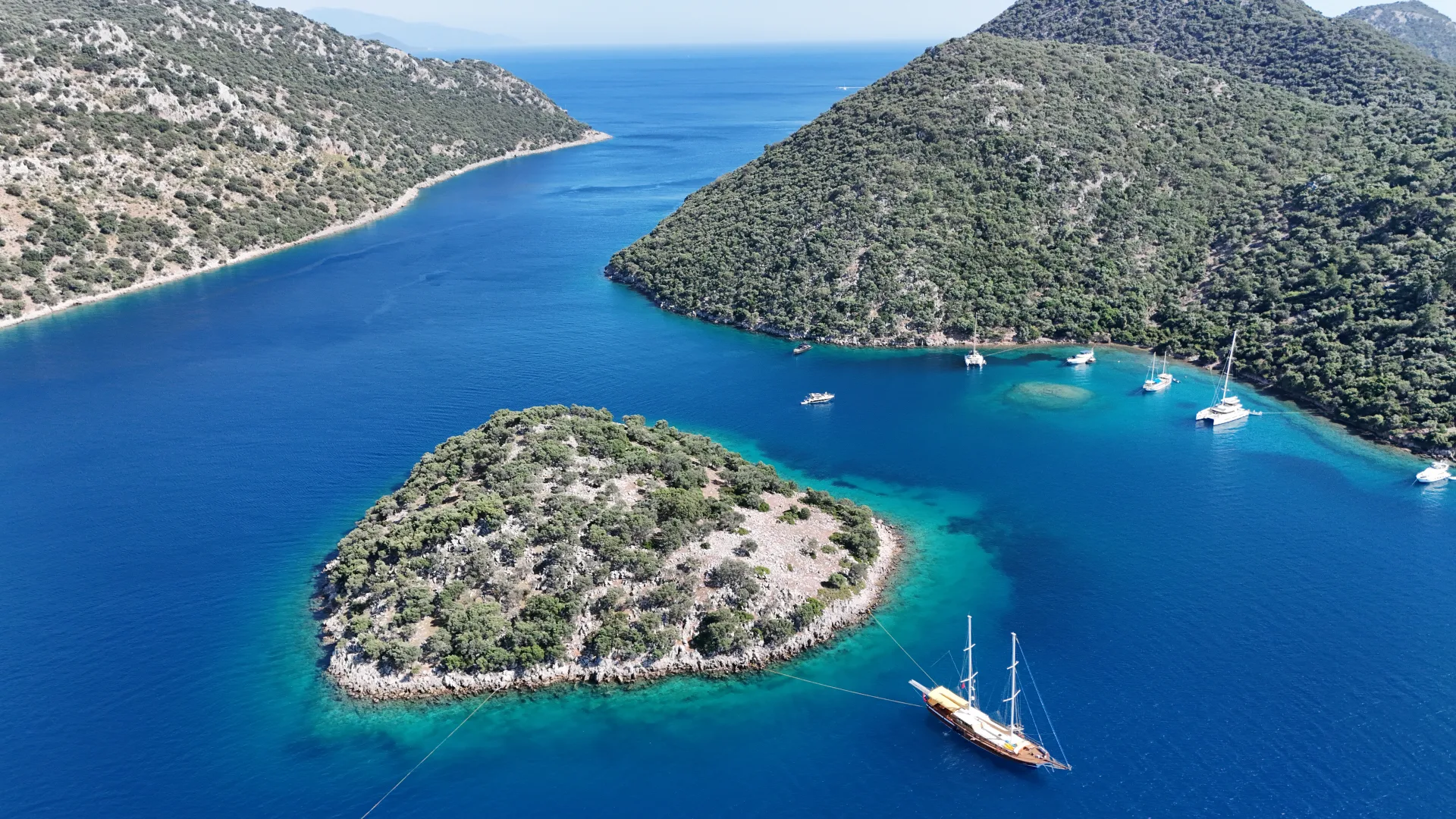 domuz island